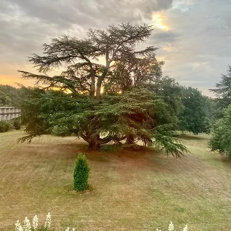 Hotel Chateau La Bainerie Tierce