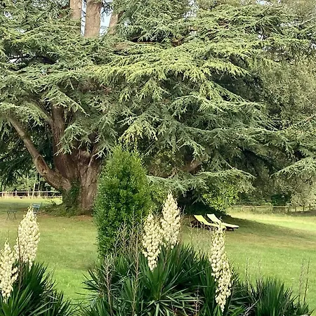 Chateau La Bainerie Hotel Tierce