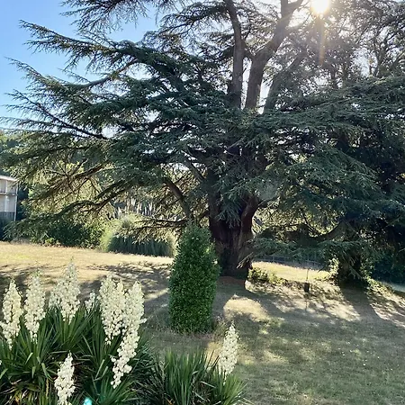 Chateau La Bainerie Hotel Tierce