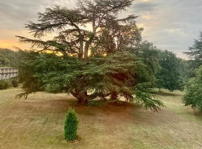 Hotell Chateau La Bainerie Tierce