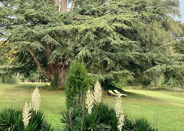 Chateau La Bainerie Hotell Tierce