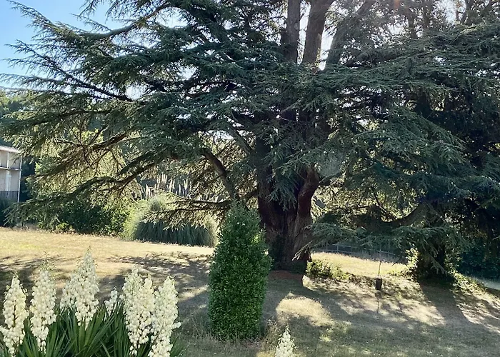 Chateau La Bainerie Hotell Tierce